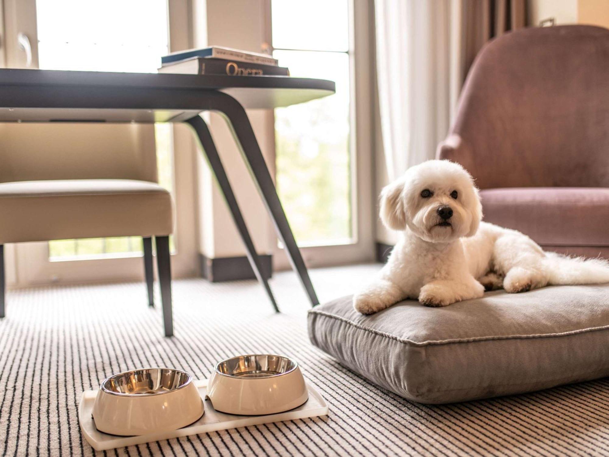 Sofitel Frankfurt Opera Hotel Frankfurt am Main Exterior photo A dog at the Mandarin Oriental, Munich